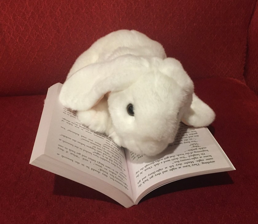 Marshmallow is reading When You Reach Me by Rebecca Stead. 