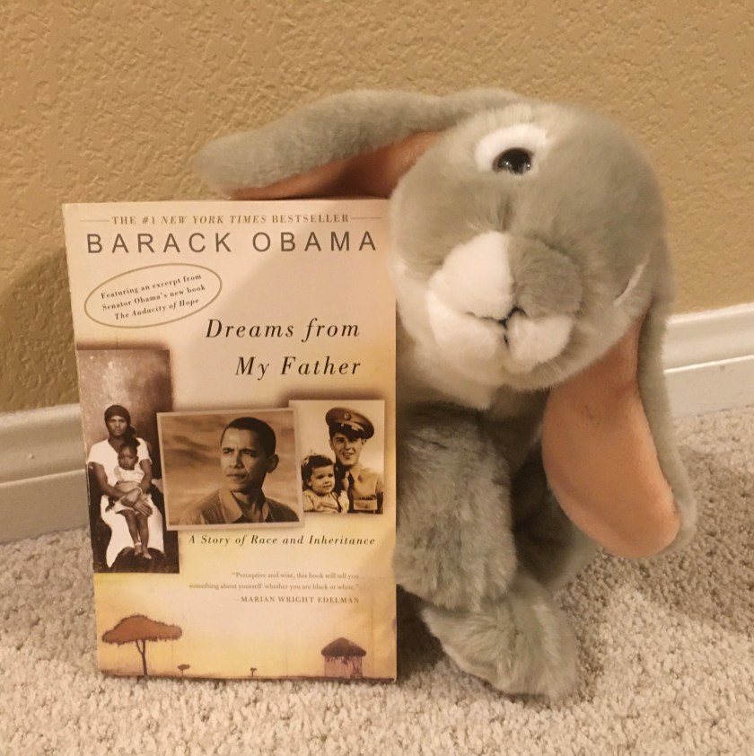 After spending all this time reading about books about president Barack Obama written for younger audiences, Sprinkles proposes that you also consider Obama's own book Dreams From My Father as a possible next step.