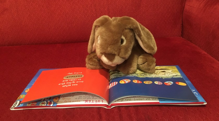 Caramel is reading Only One You by Linda Kranz: "Set aside some quiet time to relax and reflect every day."