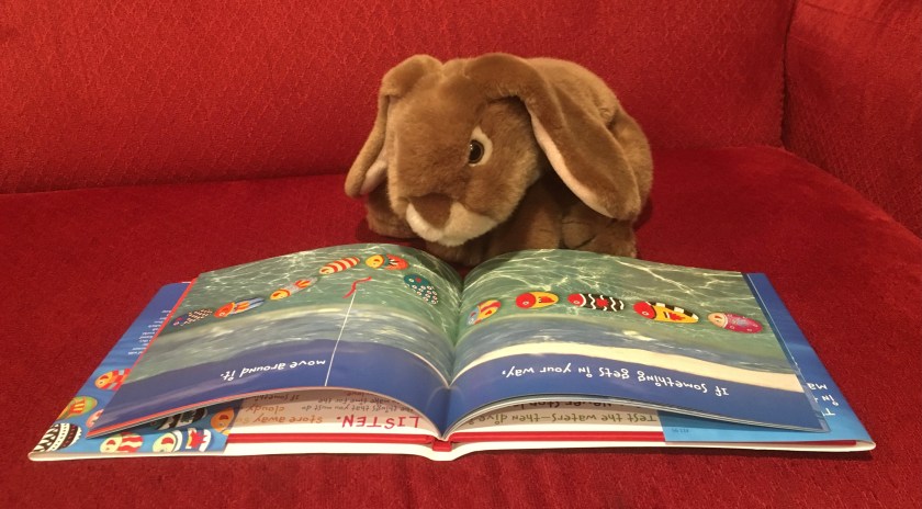 Caramel is reading Only One You by Linda Kranz: "If something gets in your way, move around it."