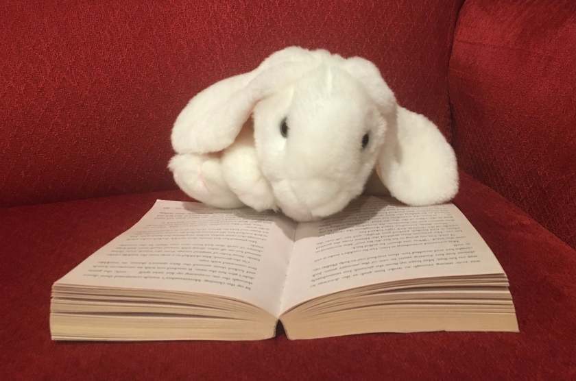 Marshmallow is reading Half Upon A Time by James Riley.
