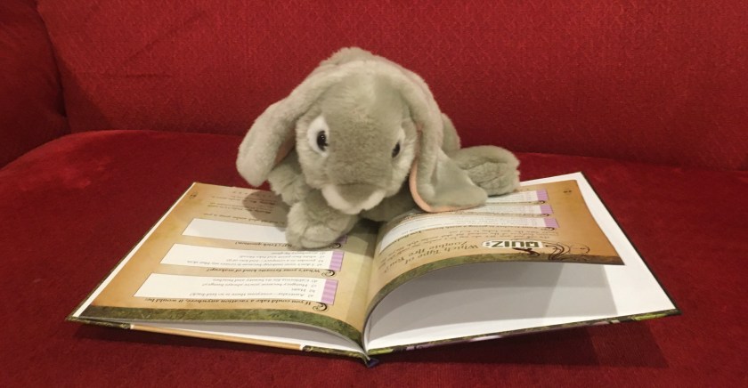 Sprinkles is taking the "Which Type of Zombie Are You?" quiz in The Girl's Guide to Zombies: Everything Vital about These Undead Monsters by Jen Jones.