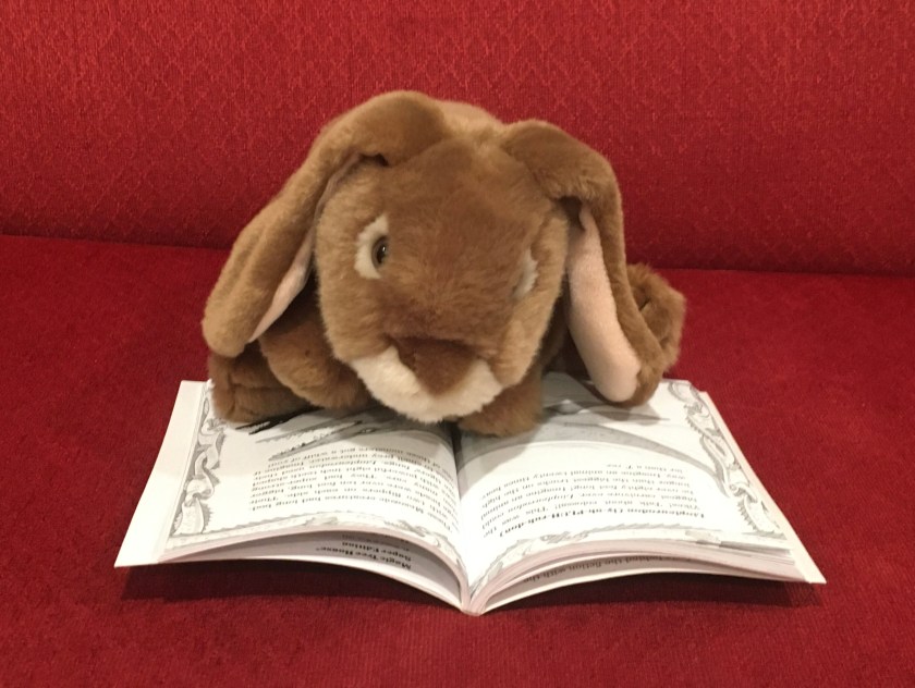 Caramel is reading about the liopleurodon in Sea Monsters (Magic Tree House Fact Tracker #17) by Mary Pope Osborne and Natalie Pope Boyce.