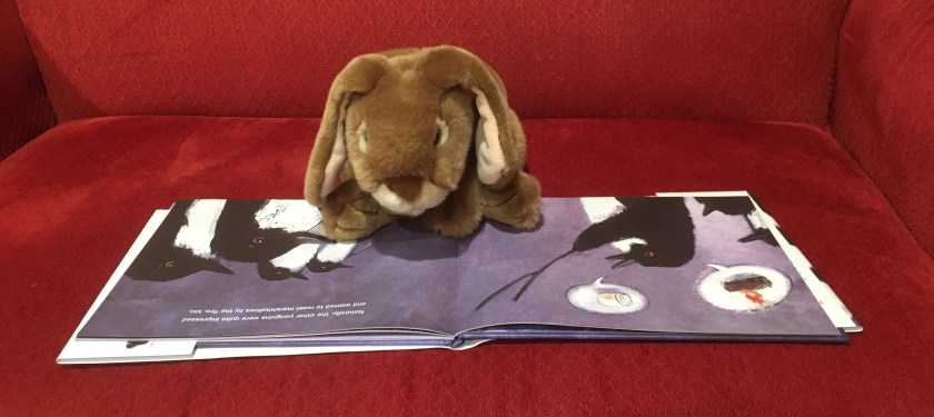 Caramel is reading The Trouble with Penguins, written and illustrated by Rebecca Jordan-Glum. These are the pages where the first penguin teaches the others about marshmallows. 