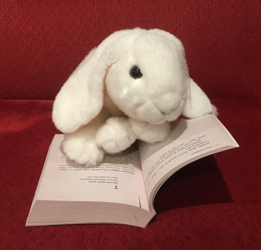 Marshmallow is reading The Hidden Oracle (Book 1 of the Trials of Apollo Series) by Rick Riordan. Here she is showing us how each chapter starts with a haiku. 