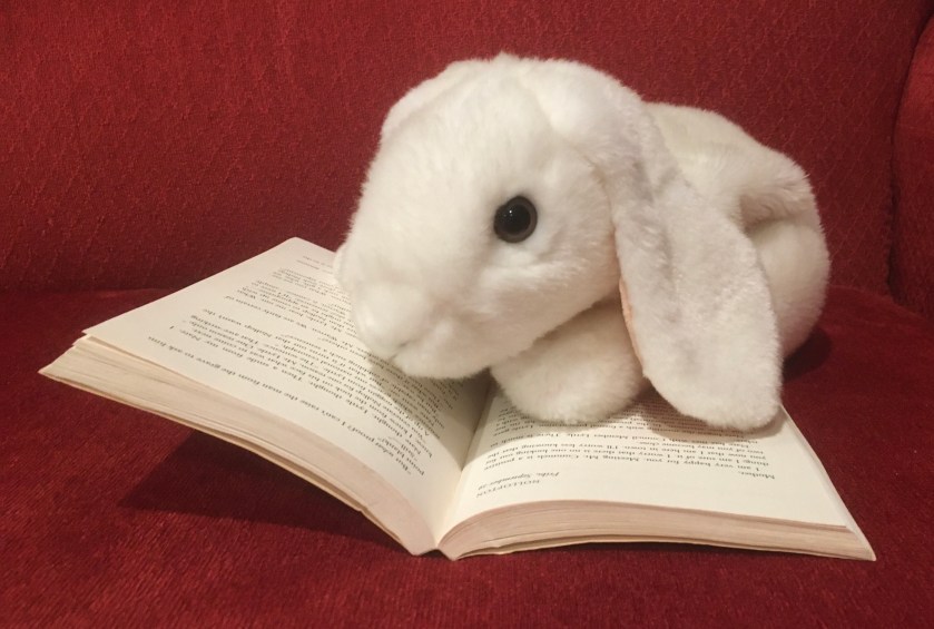 Marshmallow is reading Ella Minnow Pea by Mark Dunn.
