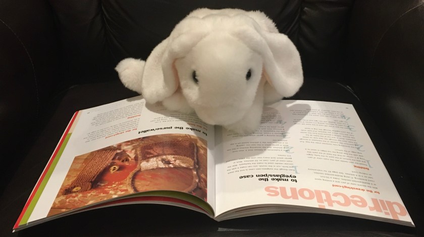 Marshmallow is reading Kids Knitting: Projects for Kids of All Ages, by Melanie Falick. Here she is looking at the directions to make a pen case. 