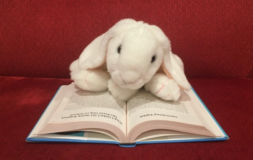 Marshmallow is reading Wonder by R.J. Palacio. 
