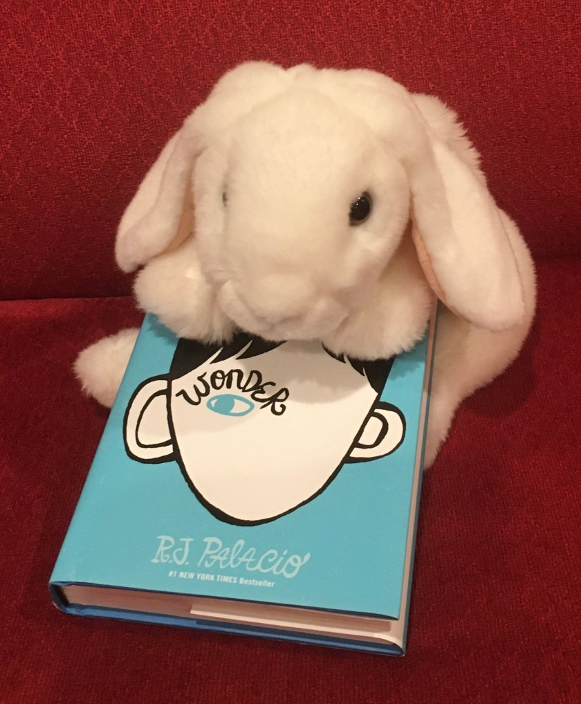 Marshmallow rates Wonder by R.J. Palacio 100%. 