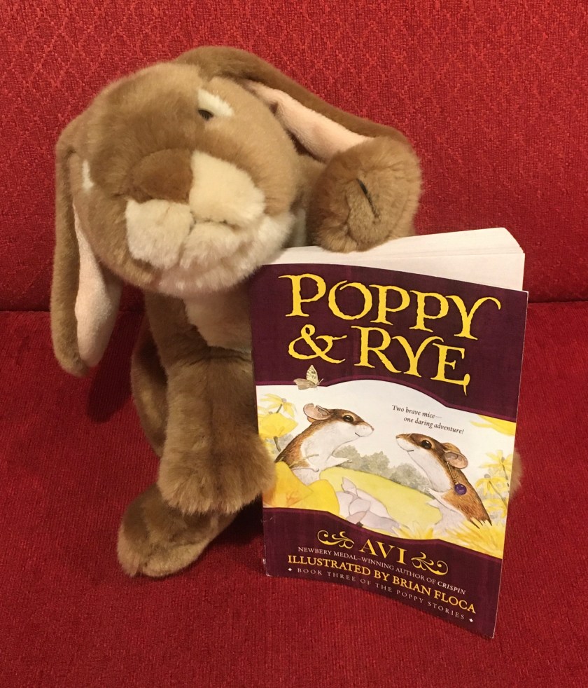 Caramel enjoyed reading Poppy and Rye, written by Avi and illustrated by Brian Floca, and is looking forward to reading more adventures of these lovable animals from Dimwood Forest. 