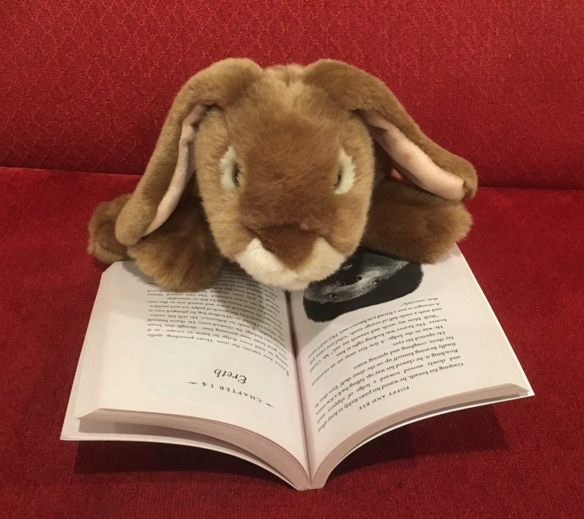 Caramel is reading Poppy and Rye, written by Avi and illustrated by Brian Floca. 