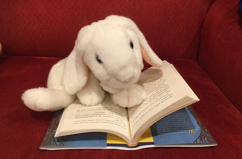 Marshmallow is reading The Clockwork Crow by Catherine Fisher.