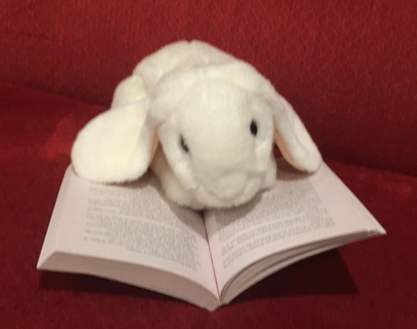 Marshmallow is reading Restart by Gordon Korman.