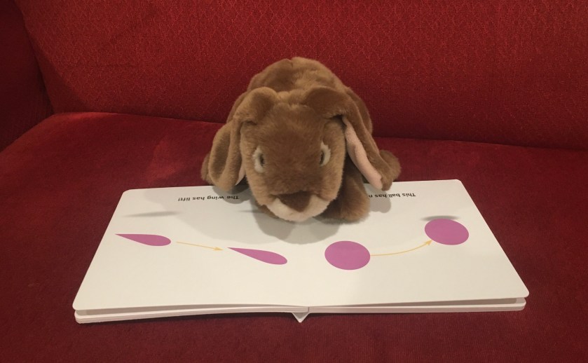 Caramel is reading Rocket Science for Babies by Chris Ferrie, his favorite so far in this series.