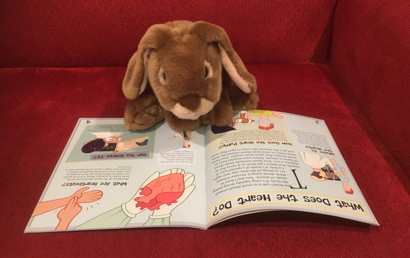 Caramel is reading about the heart in The Science of Scabs and Pus: The Sticky Truth About Blood by Ian Graham.