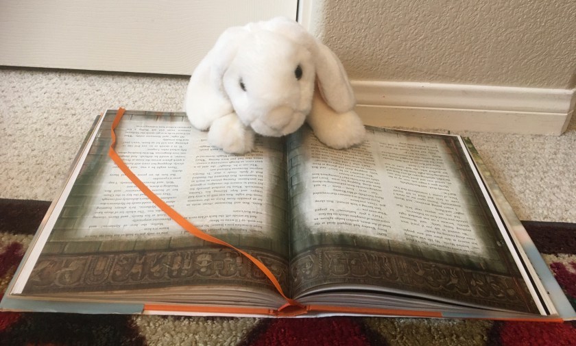 Marshmallow is reading Harry Potter and the Chamber of Secrets written by J.K. Rowling and illustrated by Jim Kay.