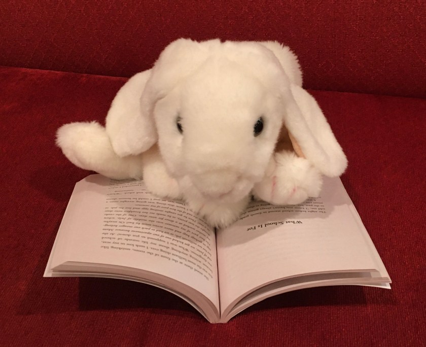Marshmallow is reading The Secret Sheriff of Sixth Grade by Jordan Sonnenblick.