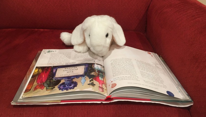 Marshmallow is reading Harry Potter and the Sorcerer’s Stone, written by J.K. Rowling and illustrated by Jim Kay.