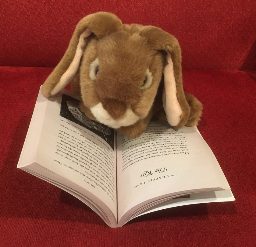 Caramel is reading Ereth's Birthday by Avi.