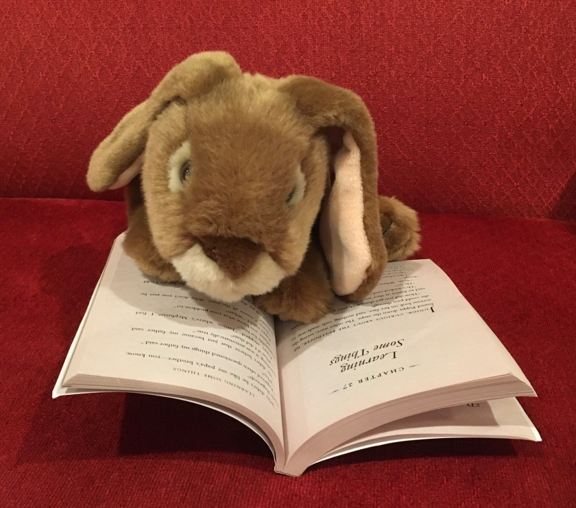 Caramel is reading Poppy's Return by Avi.