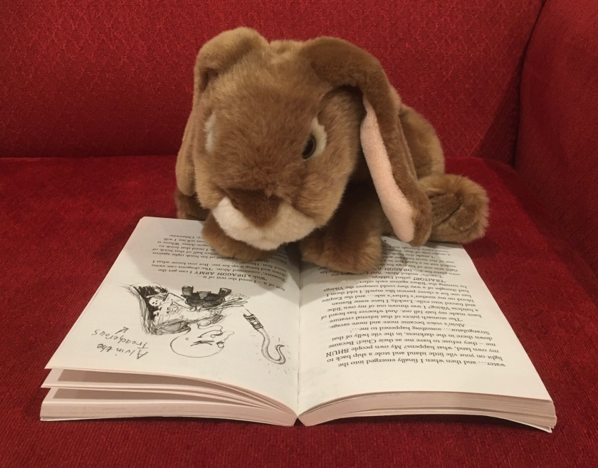 Caramel is reading How to Speak Dragonese (Book #3 of How to Train Your Dragon Series) by Cressida Cowell.