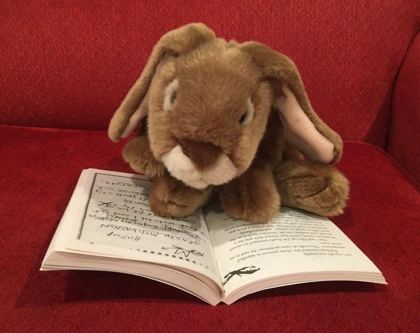 Caramel is reading How to Train Your Dragon by Cressida Crowell.