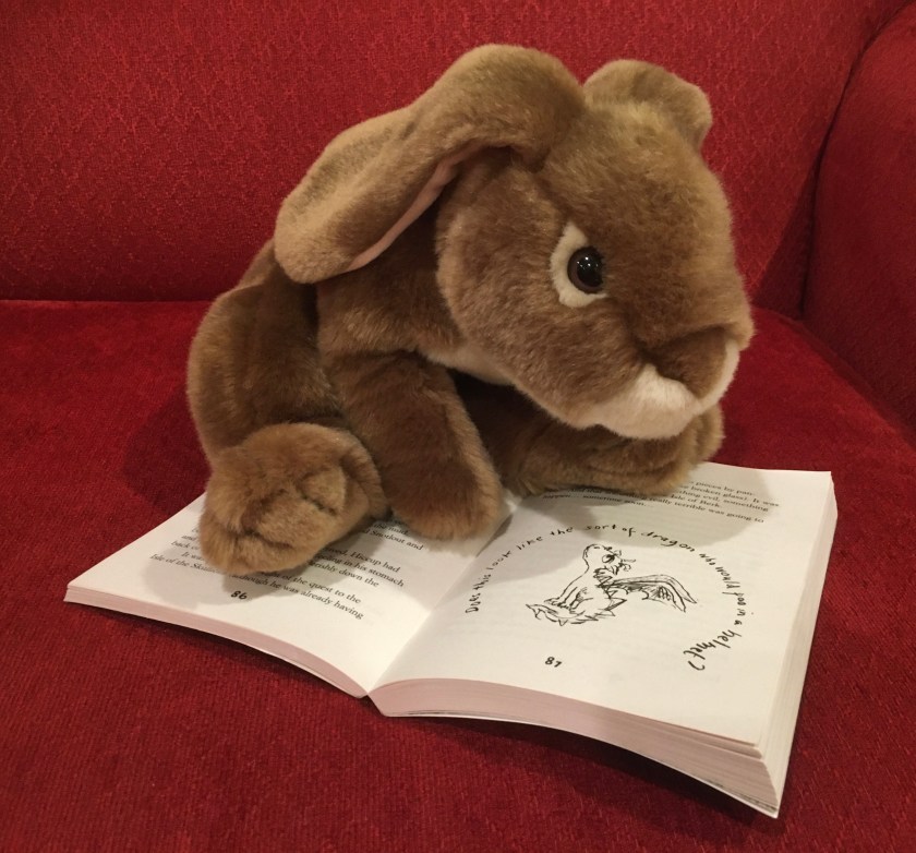 Caramel is pointing to the illustration of Toothless with the words "Does this look like the sort of dragon who would poo in a helmet?" around him in How to Be A Pirate (Book #2 of How to Train Your Dragon Series) by Cressida Cowell.