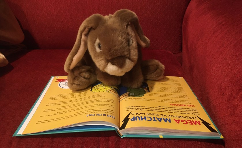 Caramel is reading the Brains On! book It's Alive: From Neurons and Narwhals to the Fungus Among Us, by Molly Bloom, Marc Sanchez, and Sanden Totten. Here he is looking over the "Mega Matchup: Tardigrade vs. Slime Mold". 