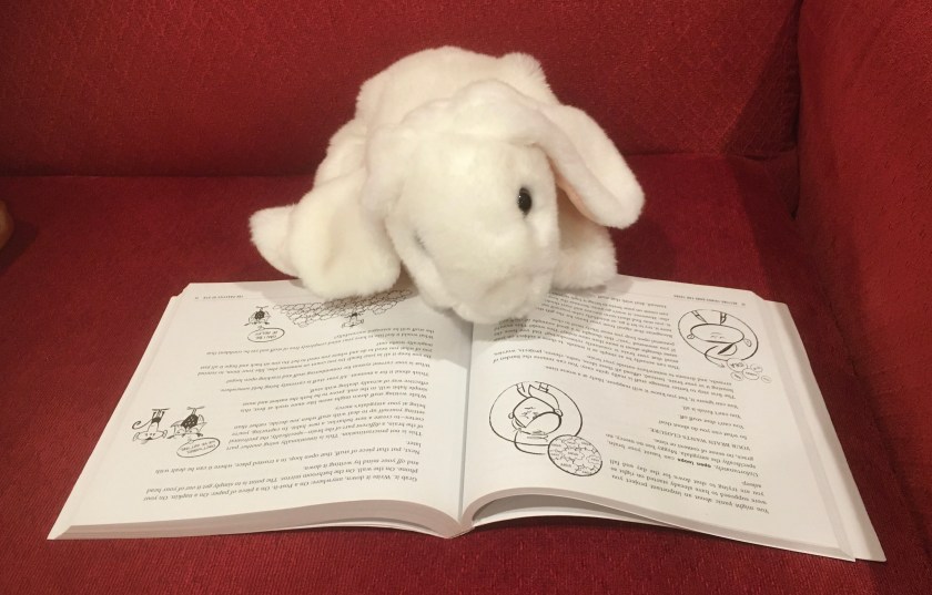 Marshmallow is reading Getting Things Done For Teens: Take Control of Your Life in a Distracting World, written by David Allen, Mike Williams, and Mark Wallace. Here she is looking at the page about "open loops", the things your mind feels like it needs to keep track of unless you resolve the issue about them or at least record them somewhere so you know you will get back to them later. 