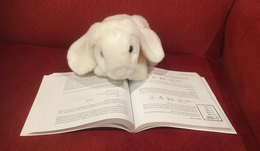 Marshmallow is reading Getting Things Done For Teens: Take Control of Your Life in a Distracting World, written by David Allen, Mike Williams, and Mark Wallace. Here she is looking at the page about the "someday / maybe" list, a list that you can put things that you want to do some day but maybe it is not yet time to work towards them. 