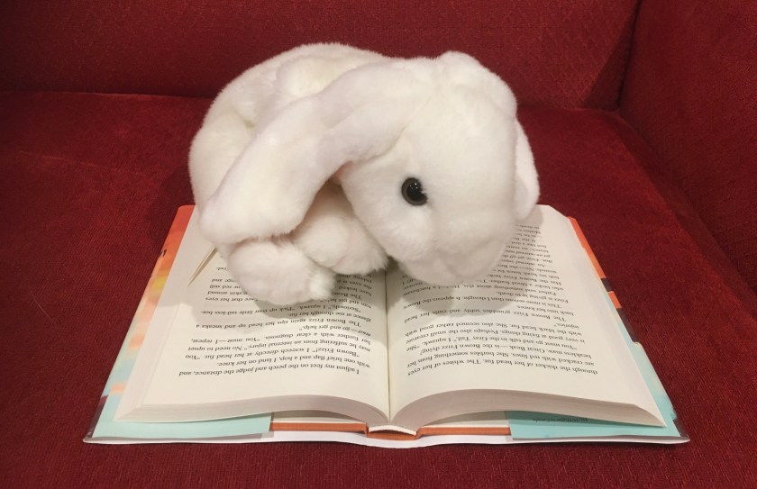 Marshmallow is reading Of A Feather by Dayna Lorentz.