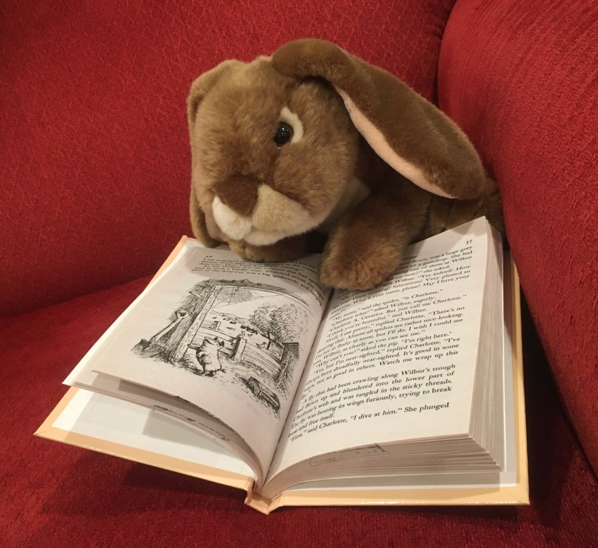 Caramel is pointing to the page where Wilbur the pig meets Charlotte the spider in Charlotte's Web, written by E.B. White and illustrated by Garth Williams. 