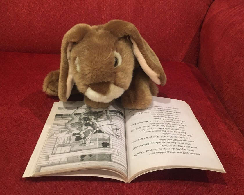 Caramel is reading Ghost Town at Sundown (Magic Tree House #10) by Mary Pope Osborne.