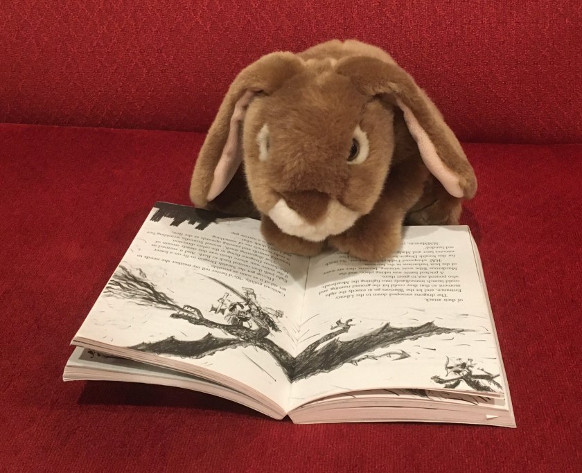 Caramel is reading A Hero's Guide to Deadly Dragons (Book #6 of How to Train Your Dragon Series) by Cressida Cowell.