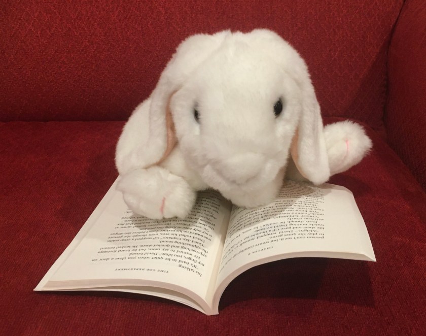 Marshmallow is reading David Massie and the Quantum Flux by Andrew M. Nehring.