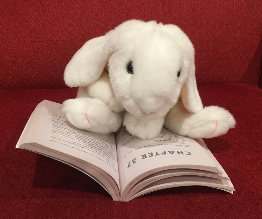 Marshmallow is reading Front Desk by Kelly Yang.