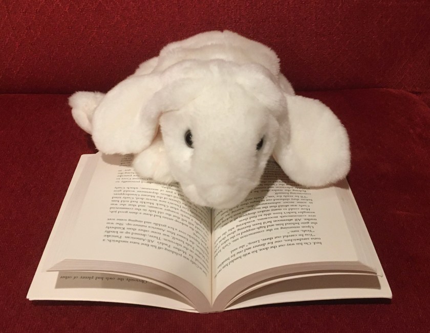 Marshmallow is reading Hoot by Carl Hiaasen.