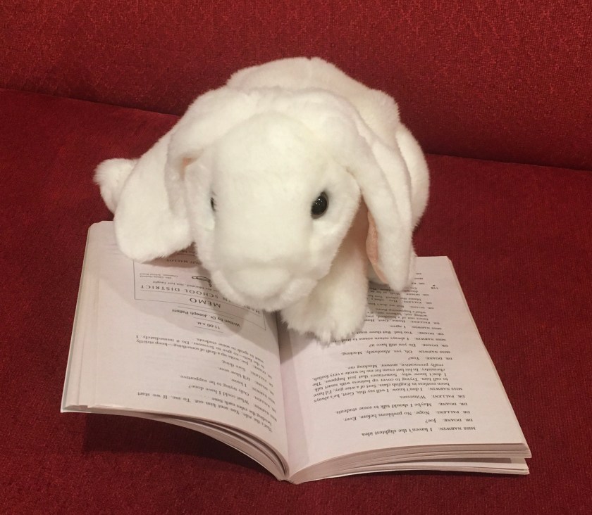 Marshmallow is reading Nothing But The Truth: a documentary novel by Avi.