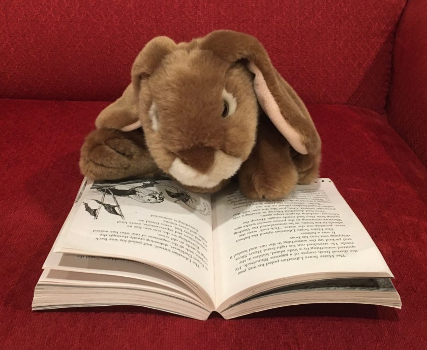 Caramel is reading How to Seize A Dragon’s Jewel (Book #10 of How to Train Your Dragon Series) by Cressida Cowell.