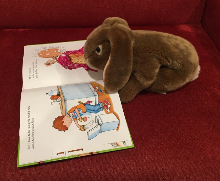 Caramel is reading  If You Give a Mouse a Cookie (1985), written by Laura Numeroff and illustrated by Felicia Bond. 