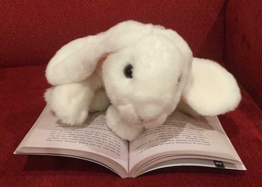 Marshmallow is reading Save Me A Seat by Sarah Weeks and Gita Varadarajan.