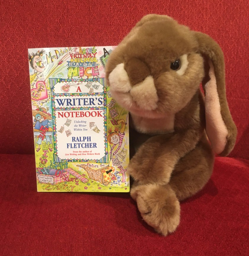 Caramel reviews A Writer's Notebook by Ralph Fletcher.