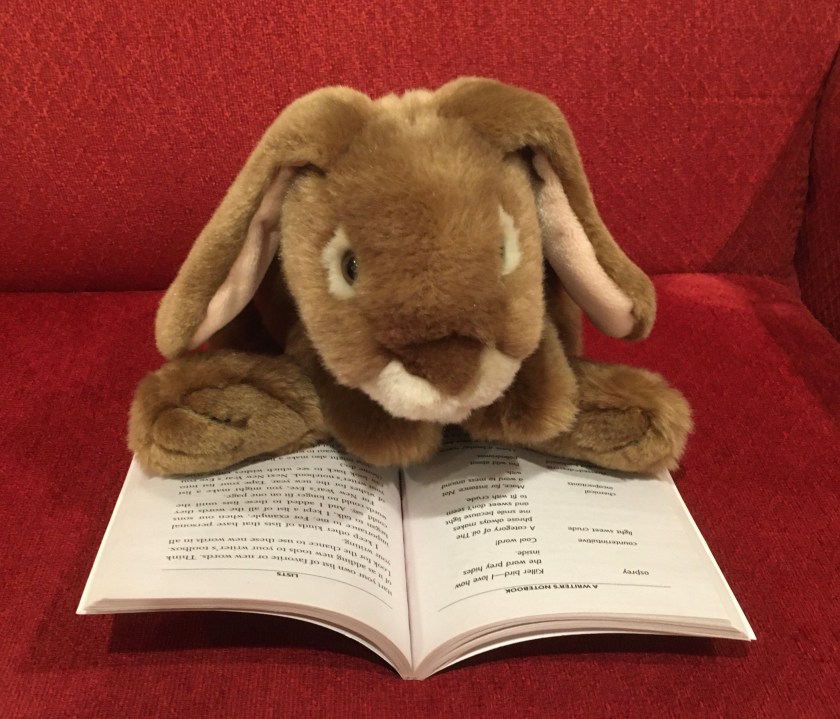 Caramel is reading A Writer's Notebook by Ralph Fletcher.