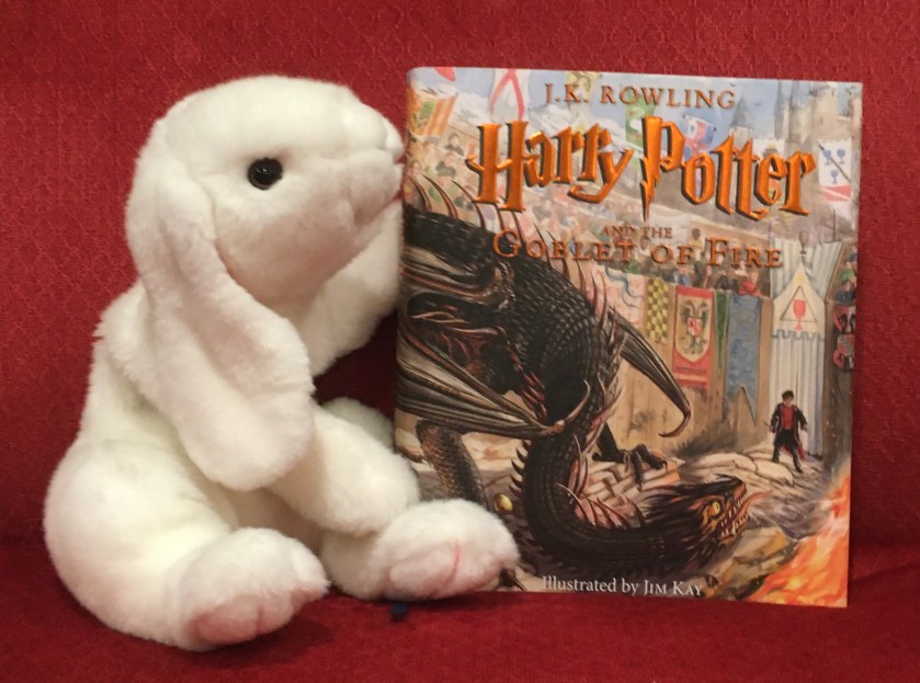 Marshmallow reviews Harry Potter and the Goblet of Fire, written by J.K. Rowling and illustrated by Jim Kay.