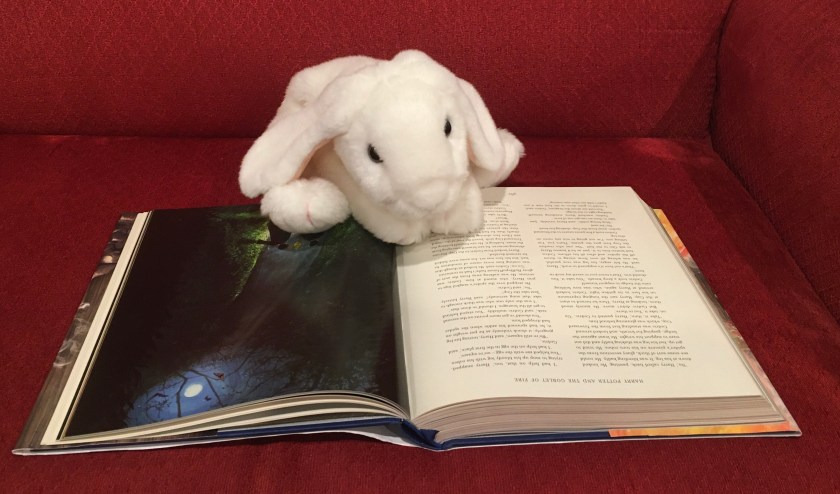 Marshmallow is still reading Harry Potter and the Goblet of Fire, written by J.K. Rowling and illustrated by Jim Kay.