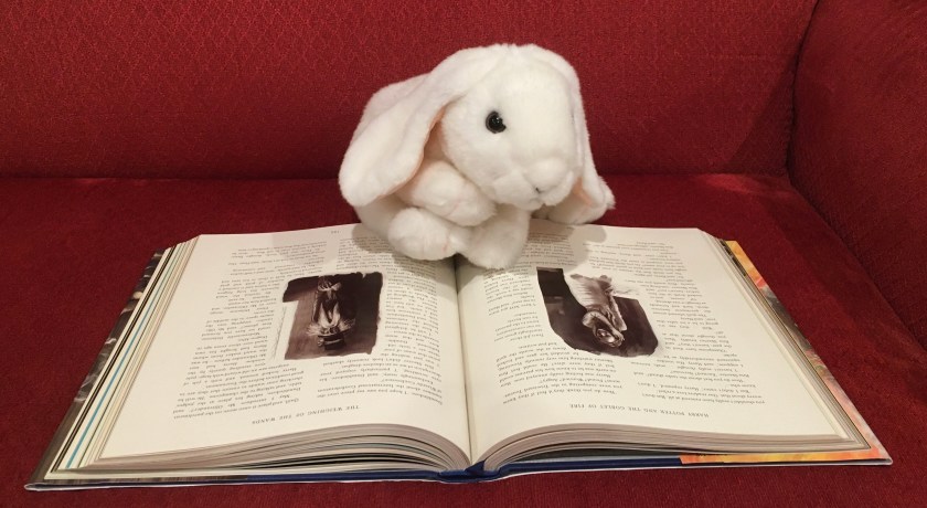 Marshmallow is reading Harry Potter and the Goblet of Fire, written by J.K. Rowling and illustrated by Jim Kay.