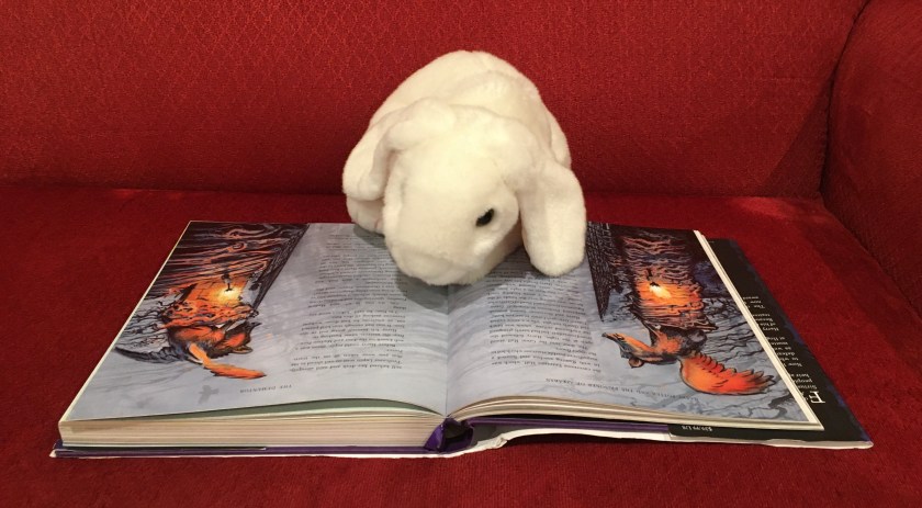Marshmallow is reading Harry Potter and the Prisoner of Azkaban, written by J.K. Rowling and illustrated by Jim Kay.