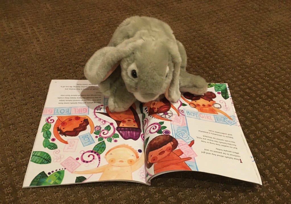 Sprinkles is reading The Gender Wheel by Maya Gonzalez.  