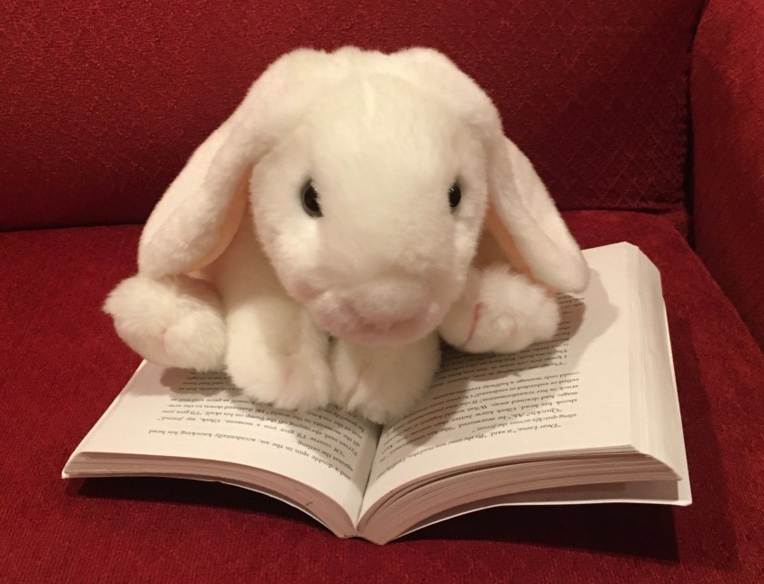 Marshmallow is reading The Girl Who Drank the Moon by Kelly Barnhill.