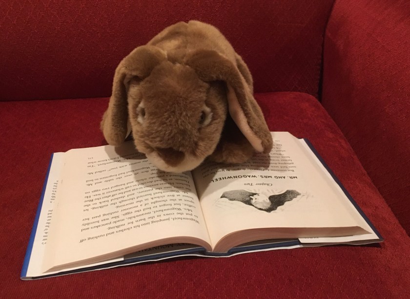 Caramel is reading Three Tales of My Father's Dragon, written by Ruth Stiles Gannett and illustrated by Ruth Chrisman Gannett.